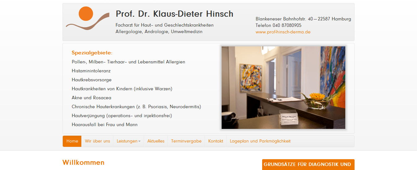 Screenshot Prof. Dr. Hinsch Website
